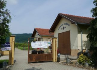 Hétvégi Bordélutánok Cákon: Stefanich Pincészet