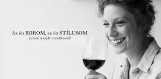 Amit az alapvető borstílusokról tudni kell