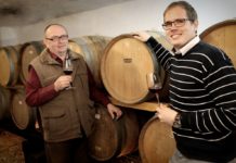 Kampits Családi Pince