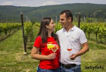 Stefanich Pincészet