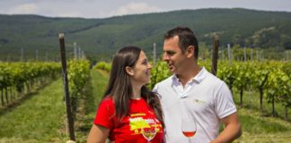 Stefanich Pincészet