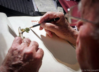 Több száz éve írják a Szőlő Jövésének Könyvét Szent György napján Kőszegen