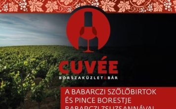 A Babarczi Szőlőbirtok és Pince borestje Babarczi Zsuzsannával