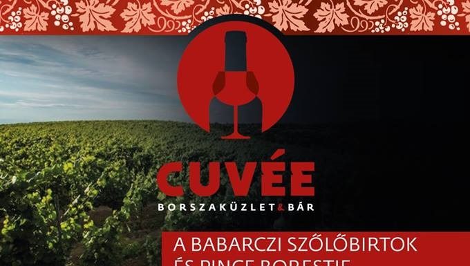 A Babarczi Szőlőbirtok és Pince borestje Babarczi Zsuzsannával