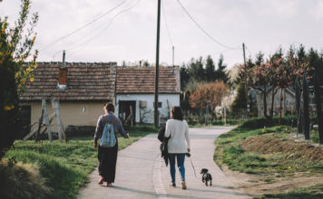 Ezeket tudtad a kőszegi borról?