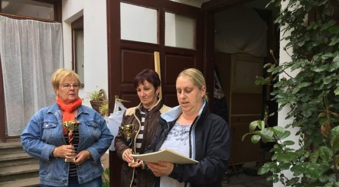 Hölgyek Bora eredmények 2017