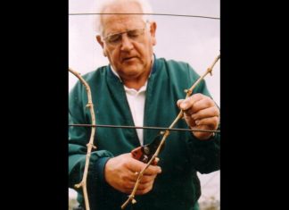 In Memoriam Cserkuti István