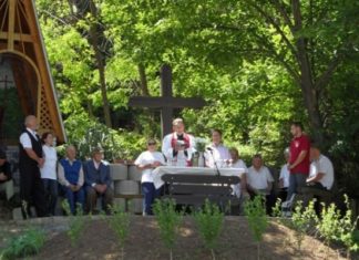 Ismét taposták a gyepűt a csepregi szőlőhegyen