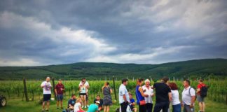 Hegy – Bor – Pünkösd