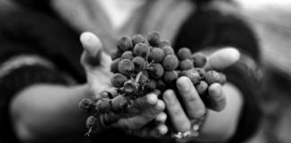 Csömötei regula: pancsolásért bírság