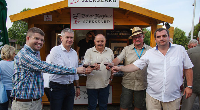 Ismertették a borverseny díjazottjait a 12. Gyógy-Bor Napok megnyitóján