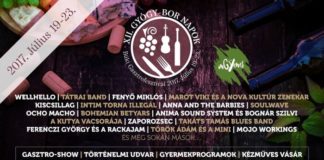 XII. Gyógy- Bor Napok – Büki Gasztrofesztivál részletes programja