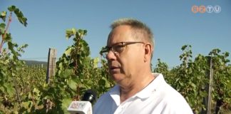 Korábban kezdődik a szüret 2017 ben