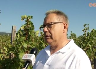 Korábban kezdődik a szüret 2017 ben