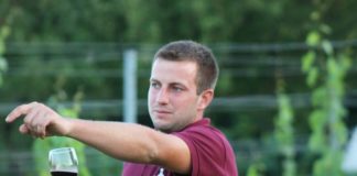 A csepregi szőlőhegy bemutatása