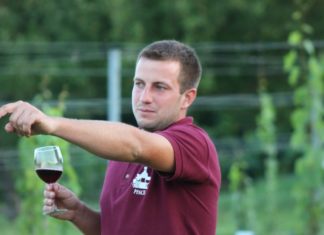 A csepregi szőlőhegy bemutatása