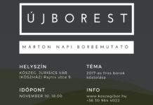 Újborok a poharakban