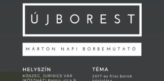 Újborok a poharakban