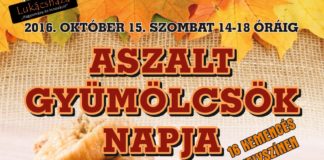 Aszalt gyümölcsök napja