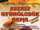 Aszalt gyümölcsök napja