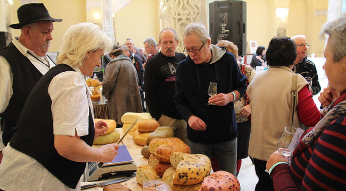 Magyarországi Újbor és Sajt Fesztivál 17