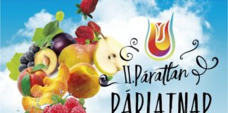 II. Kőszegi Pálinka és Párlatverseny