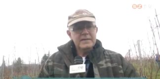 Komoly károkat okozhat a januári meleg