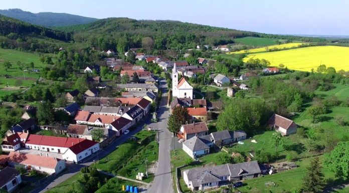 Termeld, bíráld magad
