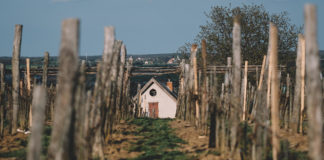 Területi borverseny /Lukácsháza/ 2018