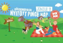 Kőszeghegyaljai Nyitott Pince Nap 2019