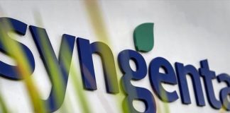 XVII. Országos Syngenta Borverseny