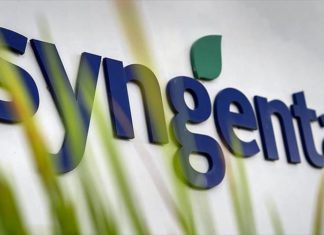 Előrejelzés a Syngenta támogatásával