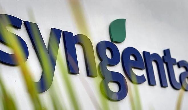 Előrejelzés a Syngenta támogatásával