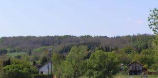 Tavaszi Túra (Csepreg – Kiszsidány – Csepreg)