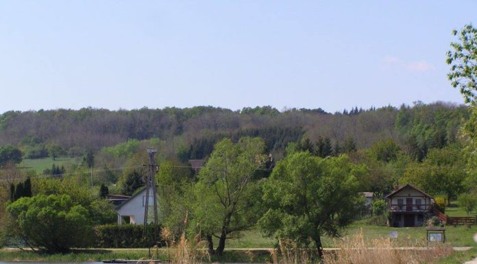 Tavaszi Túra (Csepreg – Kiszsidány – Csepreg)