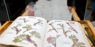 Egyedülálló szokás Szent György napján Kőszegen