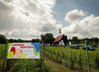 Lovaskocsi furikázta a vendégeket a csepregi pünkösdi bortúrán