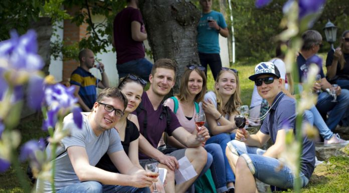 Rekordokat döntött az idei Nyitott Pince Nap