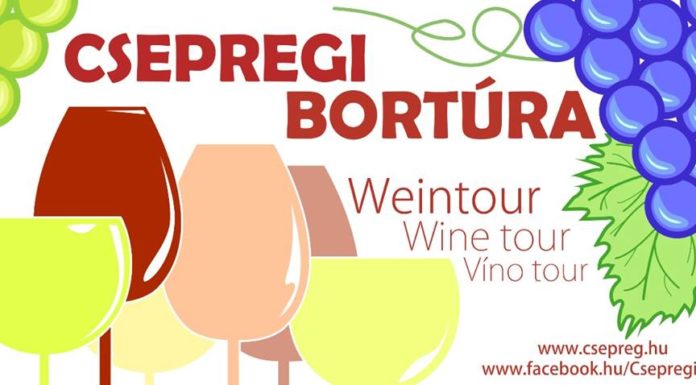 Pünkösdi túra a csepregi szőlőhegyen 2018