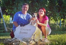 Répcementi Borpince