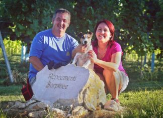 Répcementi Borpince