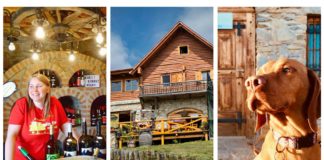 Hétvégi bordélutánok Cákon: Mándli Borház – június