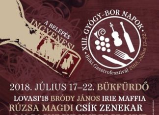 XIII. Gyógy-Bor Napok