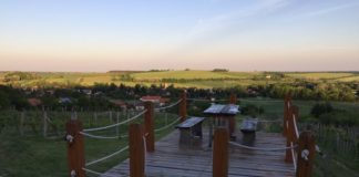 Nyitott hétvége a Bozsoki szőlőhegyen