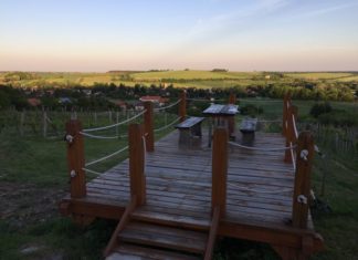 Nyitott hétvége a Bozsoki szőlőhegyen