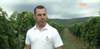 Korábban érik a szőlő