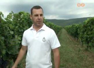 Korábban érik a szőlő