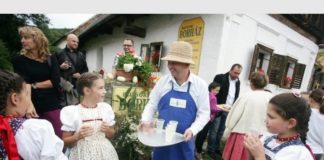 Kinyitja kapuit a Bozsoki borház