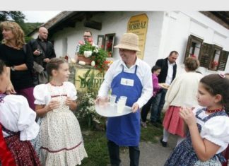 Kinyitja kapuit a Bozsoki borház