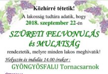 Szüreti felvonulás Gyöngyösfaluban